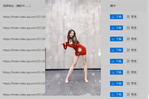 2022最新版微信视频号下载器（支持Win/Mac）